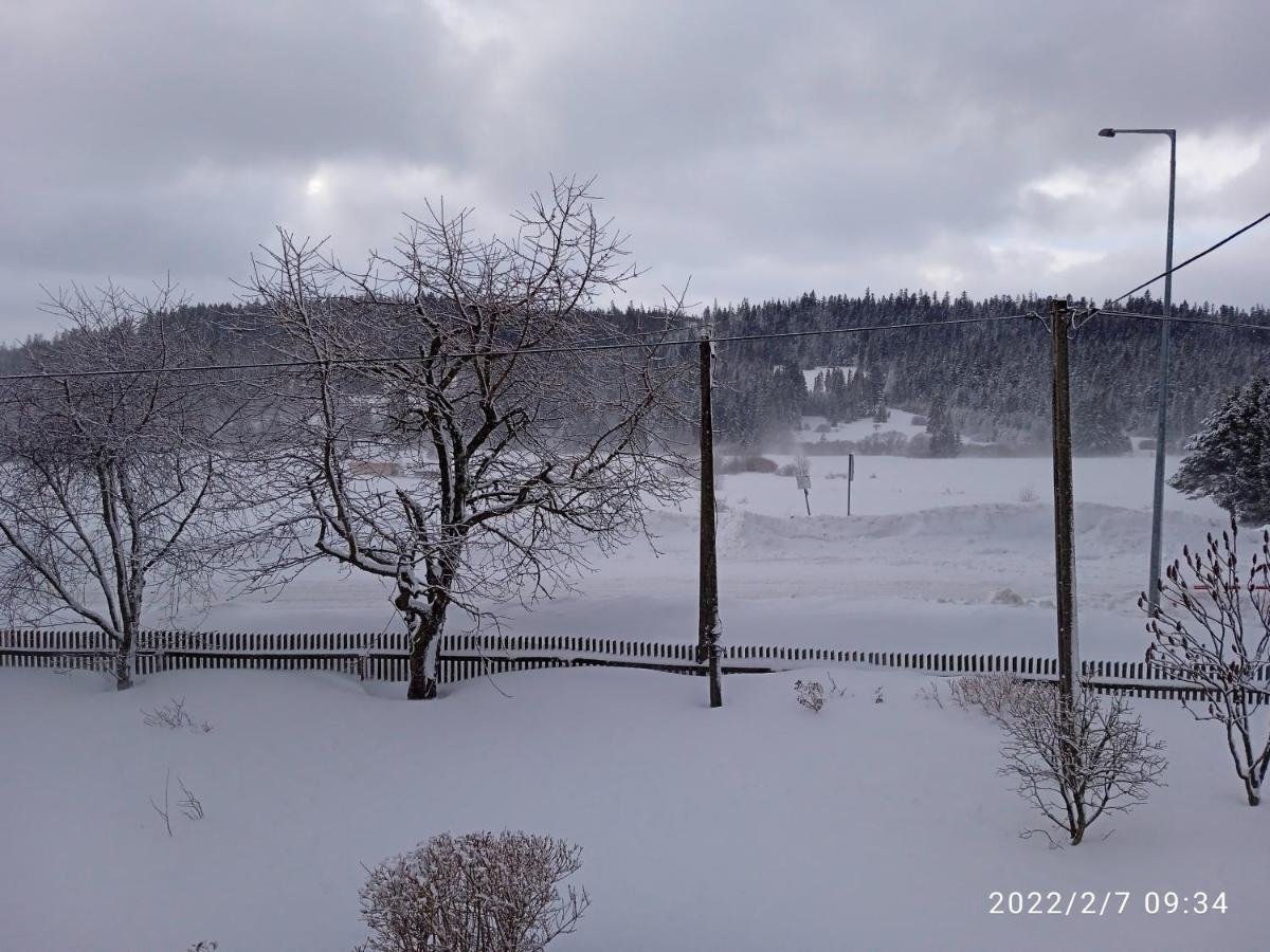 Dwa Widoki Apartamento *
